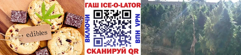 hydra зеркало где найти Кумертау Cannafood марихуана