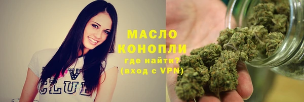 спайс Гусь-Хрустальный