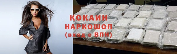 спайс Гусь-Хрустальный