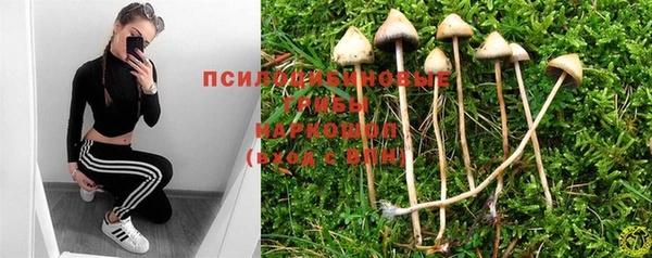 тгк Гусиноозёрск