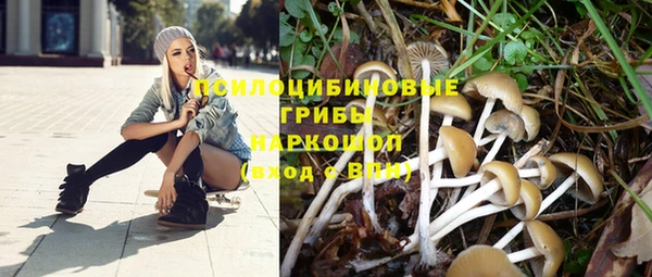 тгк Гусиноозёрск