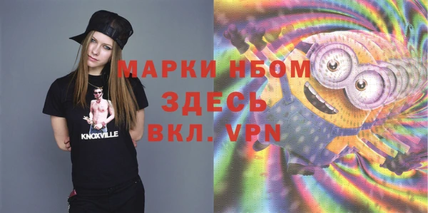 спайс Гусь-Хрустальный
